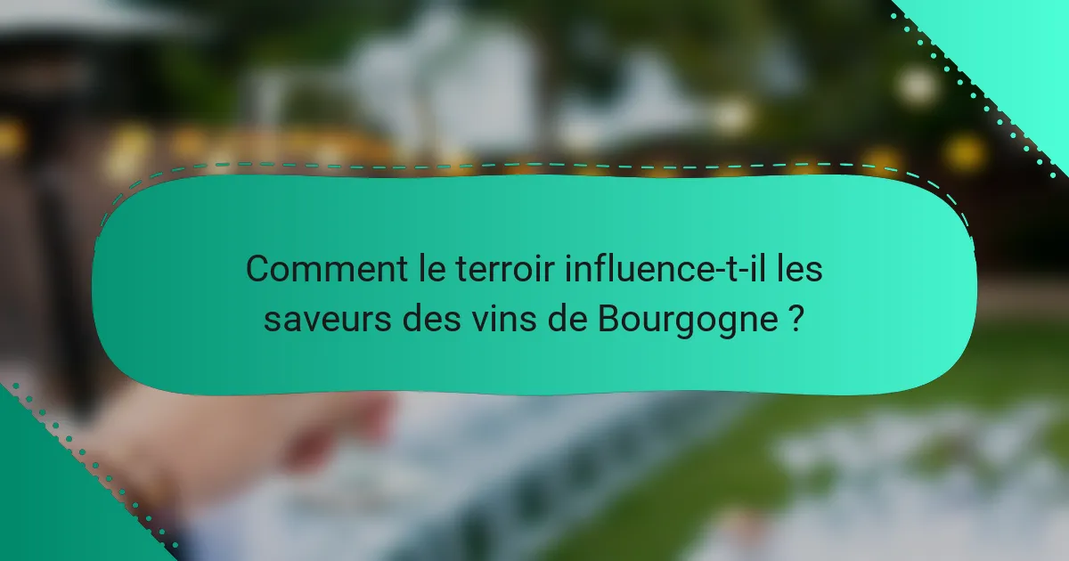 Comment le terroir influence-t-il les saveurs des vins de Bourgogne ?
