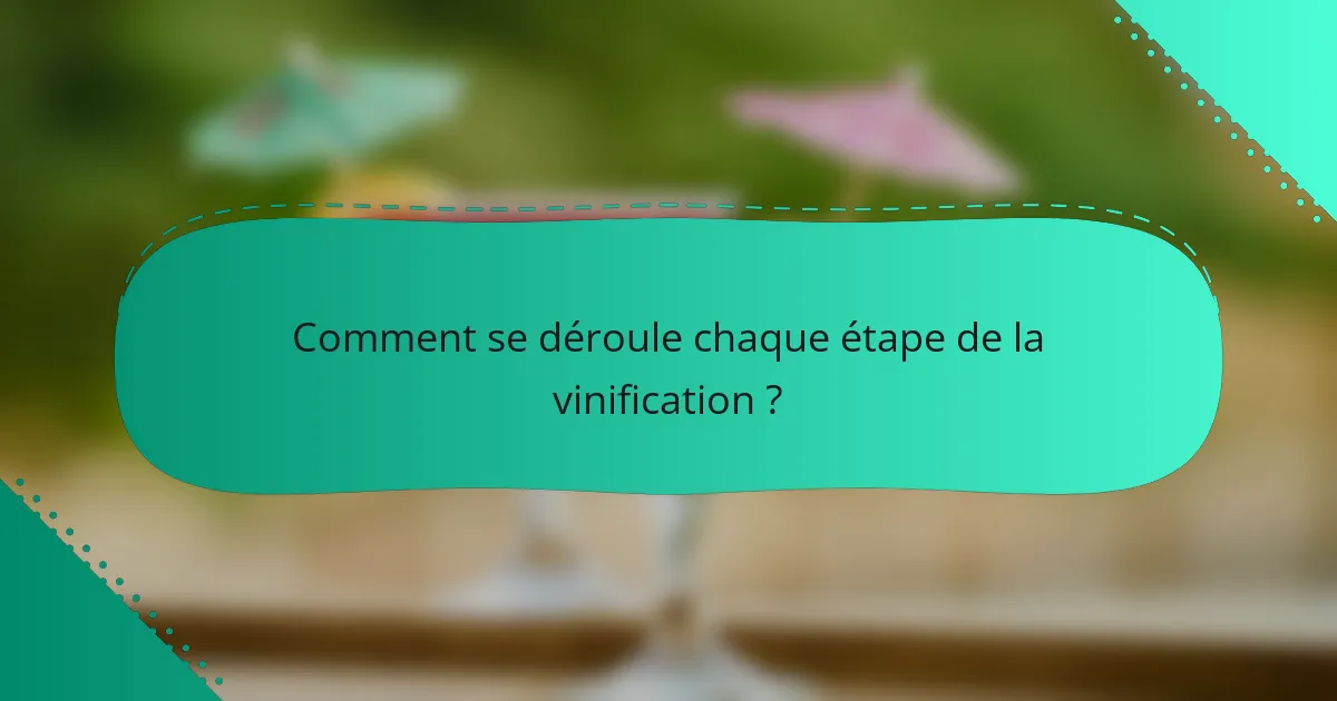 Comment se déroule chaque étape de la vinification ?