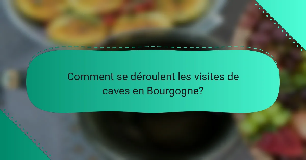 Comment se déroulent les visites de caves en Bourgogne?