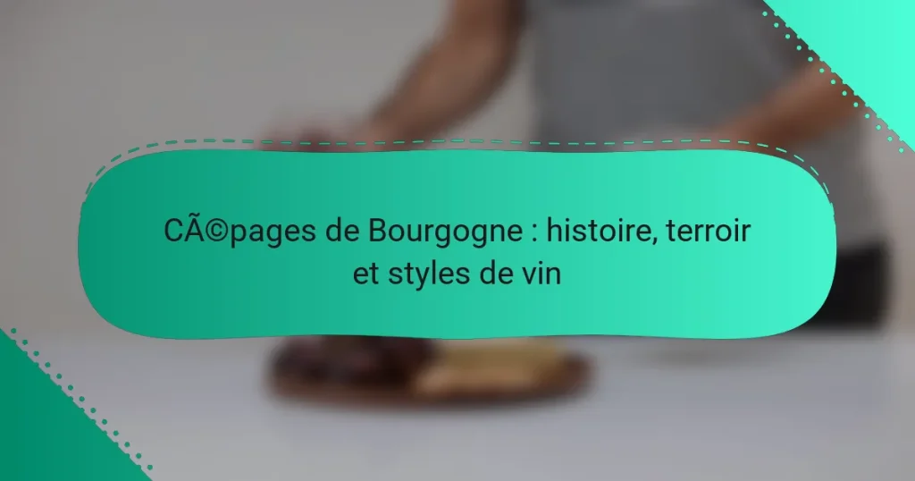 Cépages de Bourgogne : histoire, terroir et styles de vin