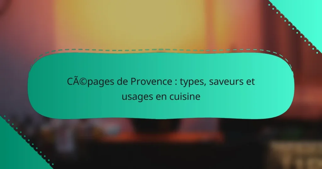 Cépages de Provence : types, saveurs et usages en cuisine