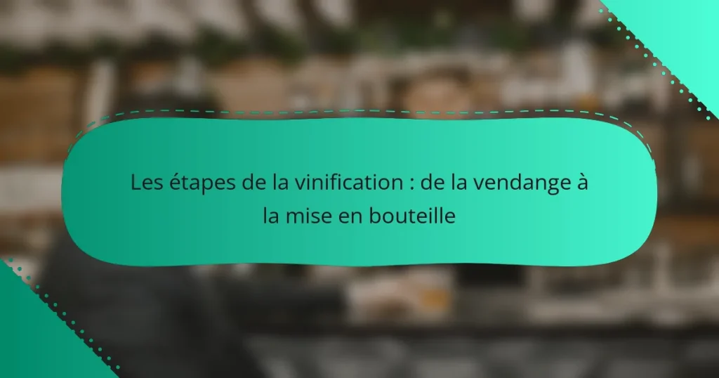 Les étapes de la vinification : de la vendange à la mise en bouteille