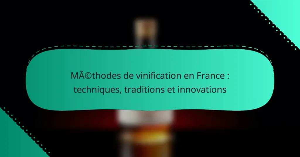 Méthodes de vinification en France : techniques, traditions et innovations