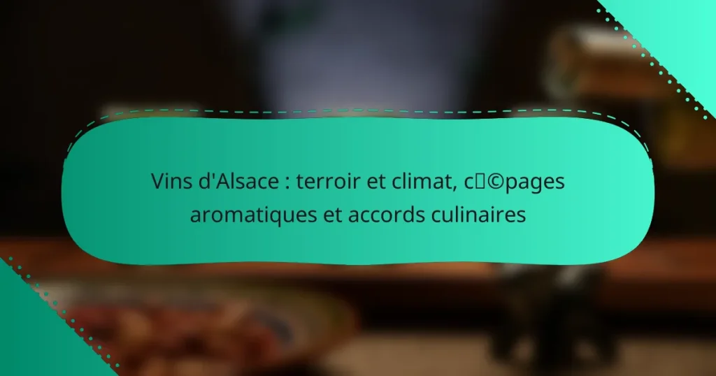 Vins d’Alsace : terroir et climat, cépages aromatiques et accords culinaires
