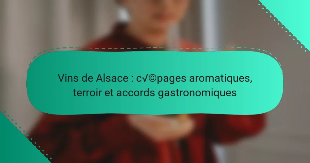 Vins de Alsace : cépages aromatiques, terroir et accords gastronomiques