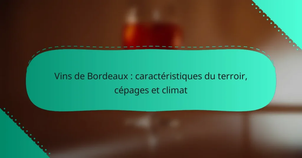 Vins de Bordeaux : caractéristiques du terroir, cépages et climat