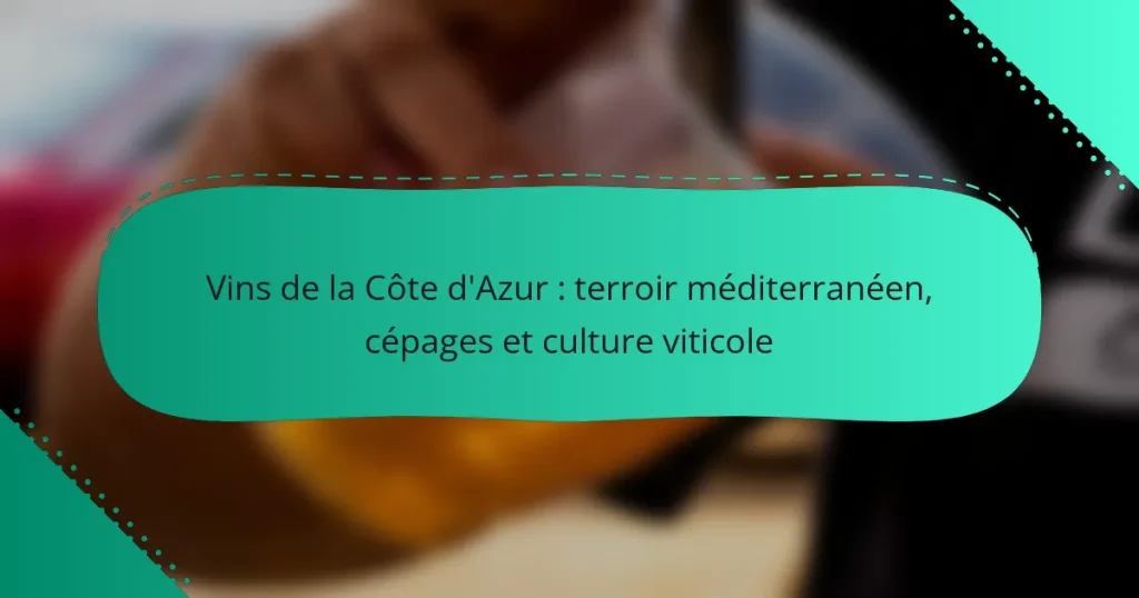 Vins de la Côte d’Azur : terroir méditerranéen, cépages et culture viticole