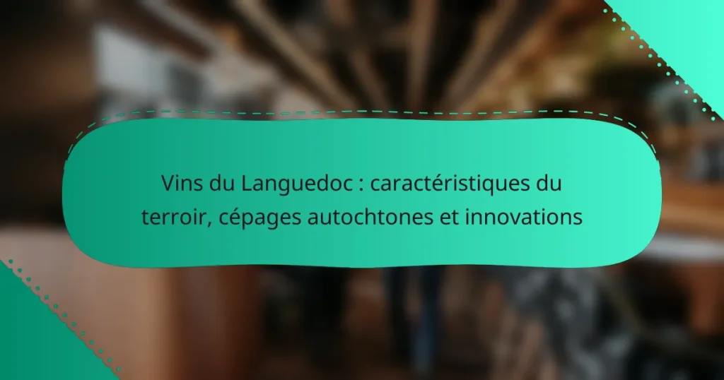 Vins du Languedoc : caractéristiques du terroir, cépages autochtones et innovations