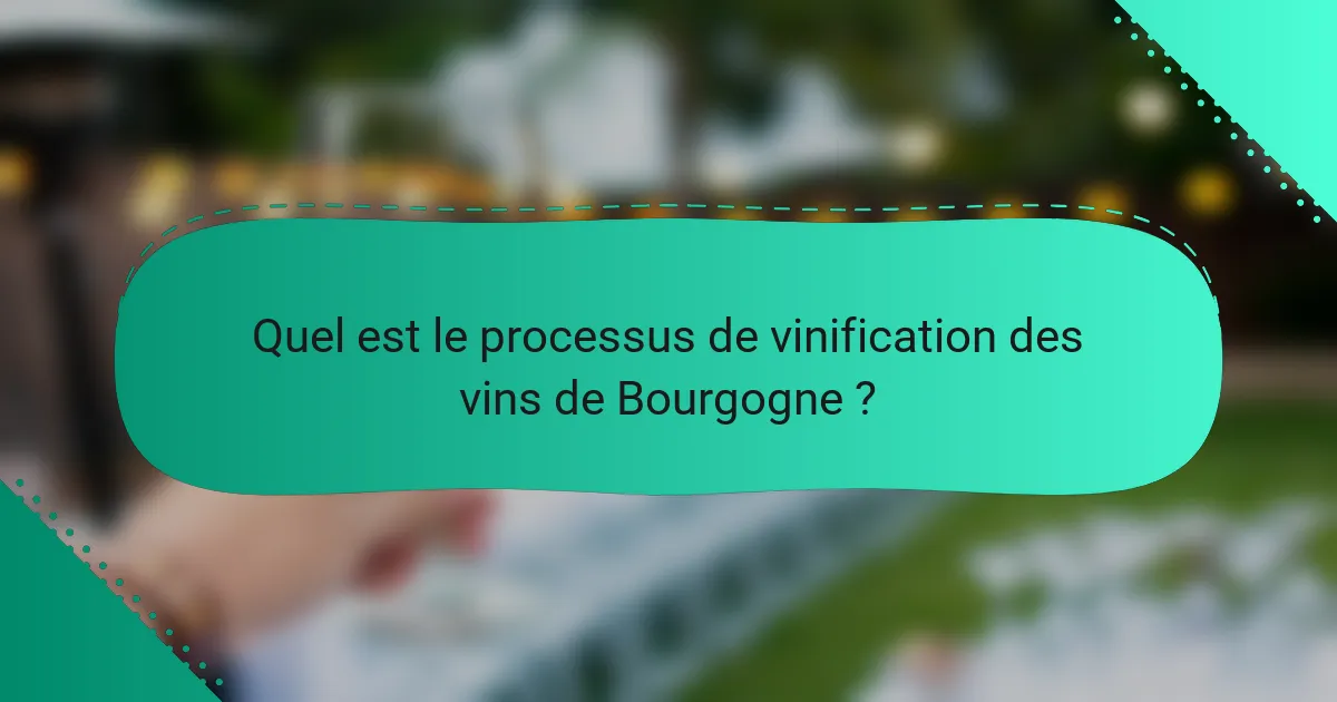 Quel est le processus de vinification des vins de Bourgogne ?