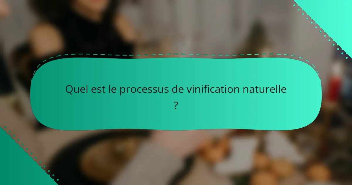 Quel est le processus de vinification naturelle ?