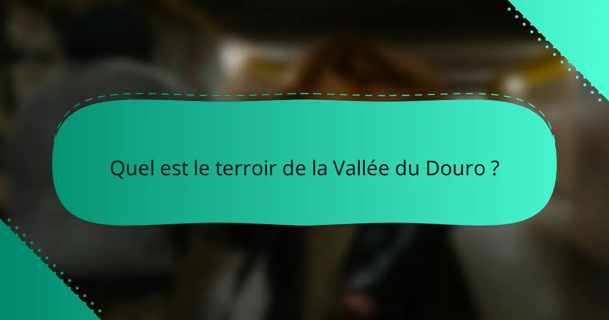 Quel est le terroir de la Vallée du Douro ?