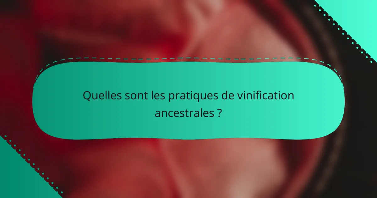Quelles sont les pratiques de vinification ancestrales ?