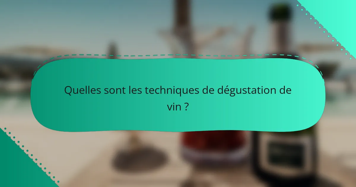 Quelles sont les techniques de dégustation de vin ?