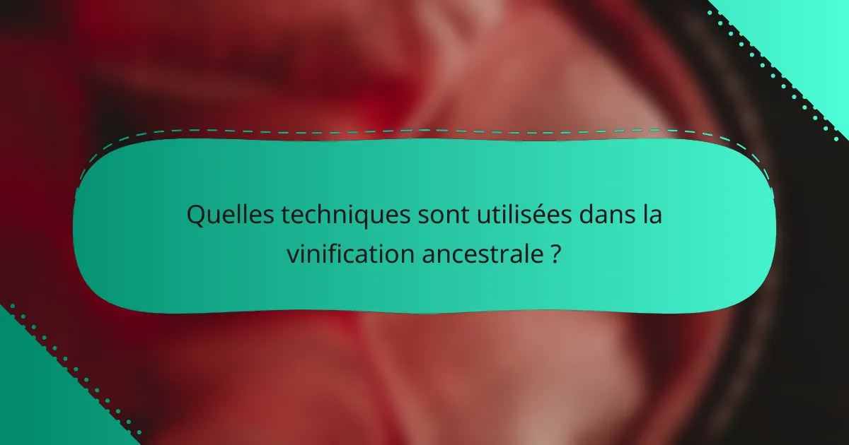 Quelles techniques sont utilisées dans la vinification ancestrale ?