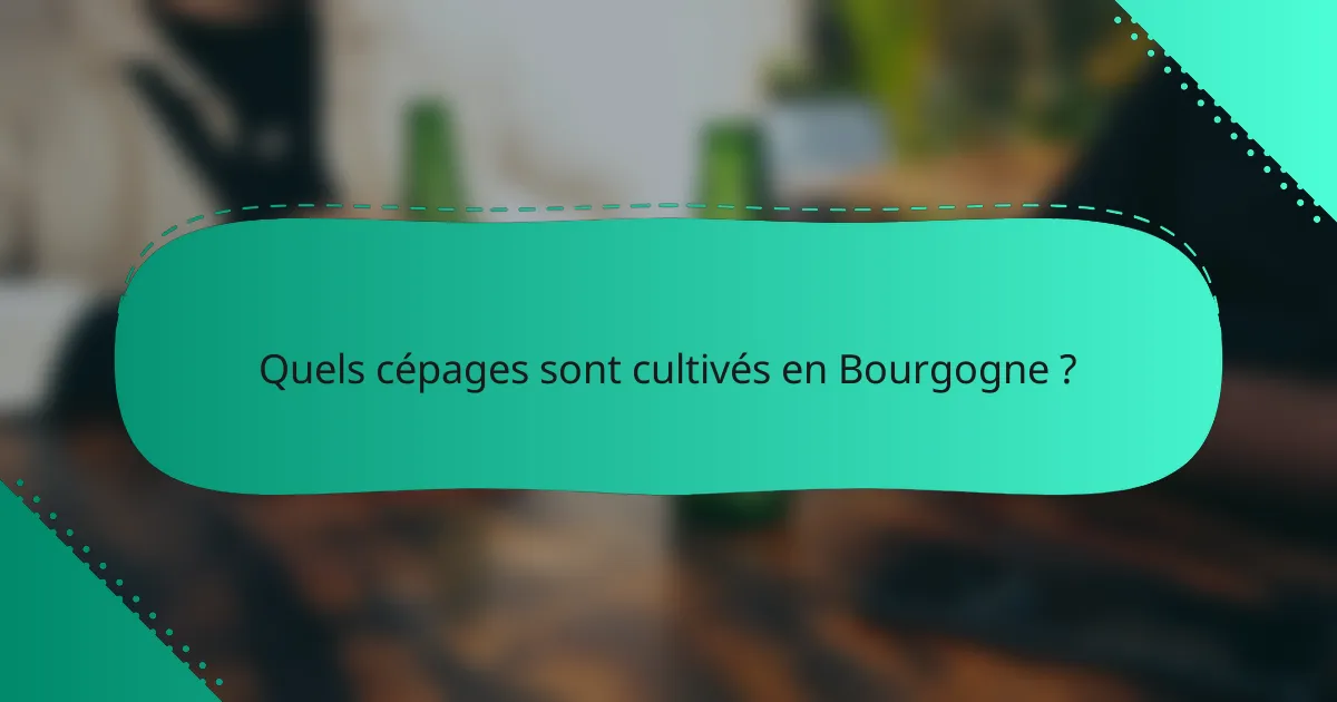 Quels cépages sont cultivés en Bourgogne ?