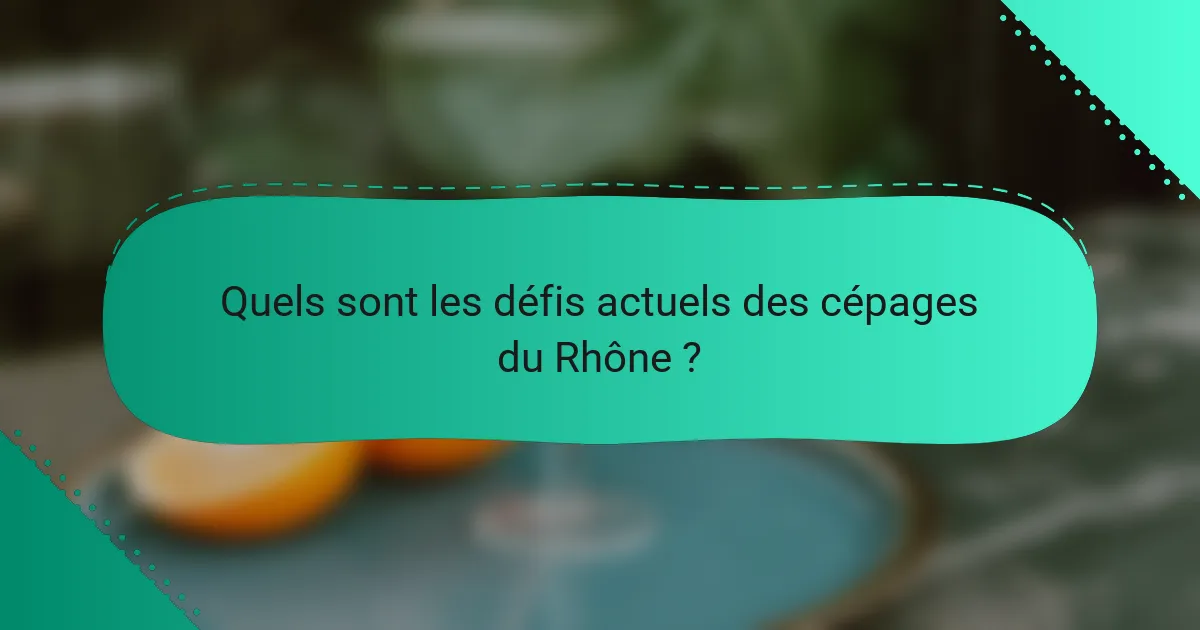 Quels sont les défis actuels des cépages du Rhône ?