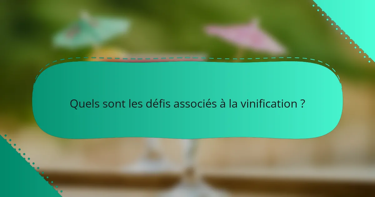 Quels sont les défis associés à la vinification ?