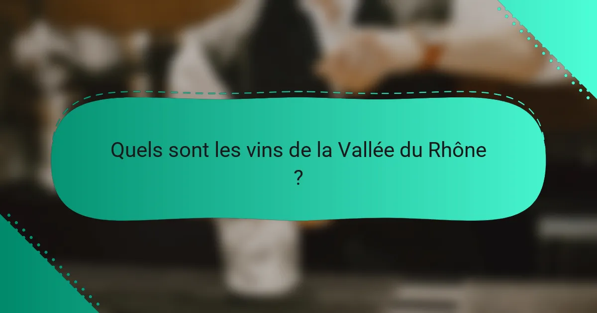 Quels sont les Vins de la Vallée du Rhône ?