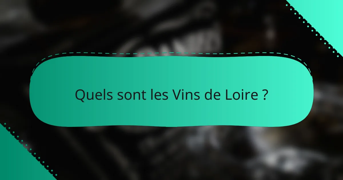 Quels sont les Vins de Loire ?