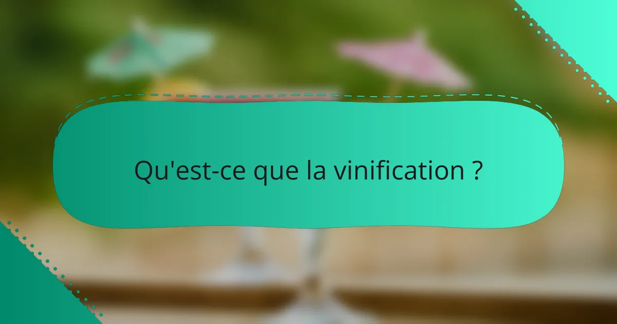 Qu'est-ce que la vinification ?